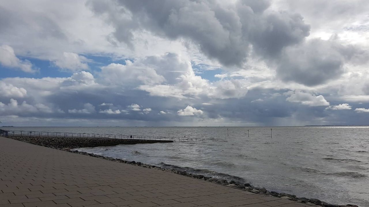 AreaSummer5KM AreaSummer5KM